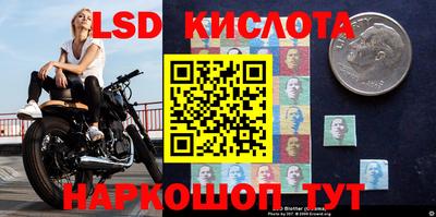 ГАЛЛЮЦИНОГЕННЫЕ ГРИБЫ Рязань
