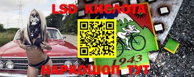 СК Рыбинск