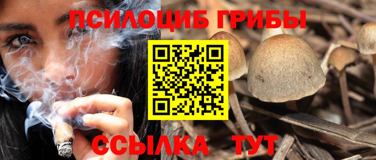Галлюциногенные грибы MAGIC MUSHROOMS Сарапул