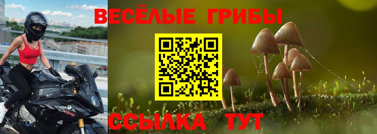 Сарапул  Галлюциногенные грибы Psilocybine cubensis  Вход с VPN 